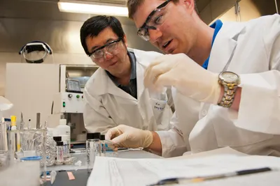 is novelty in science a real necessity or a distracting obsession 