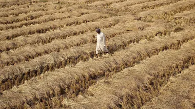 the life of labour  kerala farmers face shortage of seeds  unrest in chennai s oragadam