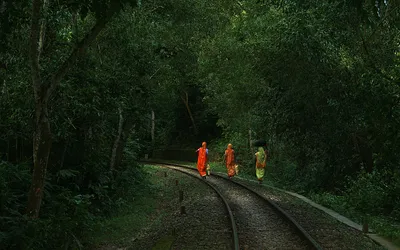 a battle cry and a celebration of love