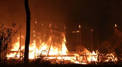 meitei radical group extracts pledge from legislators for  peace  in manipur within 15 days