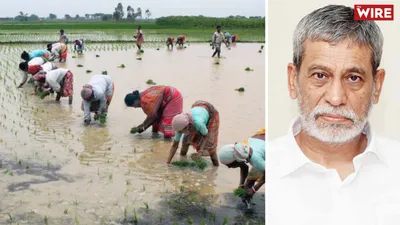 watch   the indian farmer earns much more as a labourer   finds nss survey