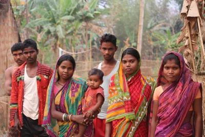 odisha  how the simlipal wildfire razed the economy of particularly vulnerable tribal groups