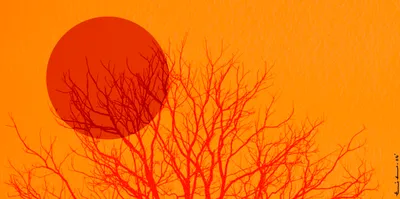 india is past the early warning phase