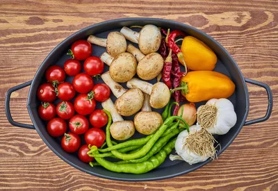 review  friends with benefits – the human race and the food it makes