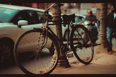 the bicycle and new delhi s vip bungalows