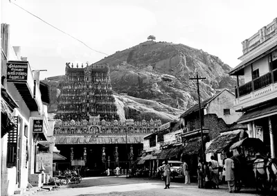 tamil music  plural public  and the murugan that refuses containment