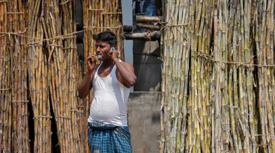 sugarcane farmers caught in a complex web of negligence in eastern up