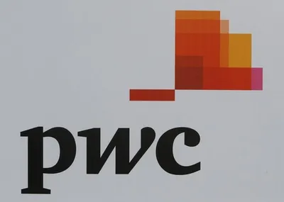 sebi bars price waterhouse from auditing listed firms for two years