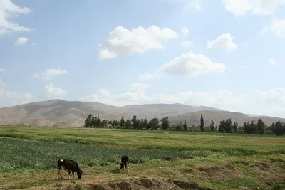 israeli settlers are using the ongoing violence to ethnically cleanse palestinians in jordan valley