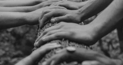 how true is the claim that bihar caste survey is ‘promoting casteism’ 