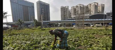 with budget 2019  modi govt hopes that its piecemeal solutions will ease distress