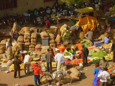 interview    india needs healthy agriculture  environment and wealthy farmers   devinder sharma
