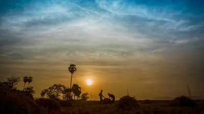 if crop insurance continues to be viable  will centre s plan for smoothing out other wrinkles work 