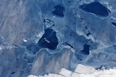 harsh climate  the struggle to track global sea level rise