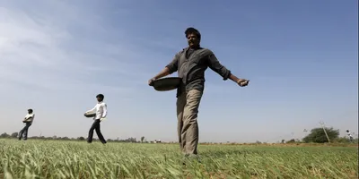 the life of labour   implicit tax  on farmers and sexual harassment at un