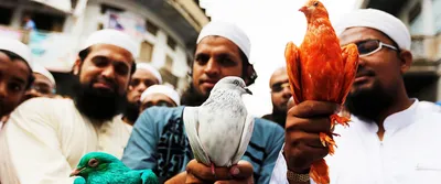 coronavirus communalism has made a grim picture for indian muslims grimmer still