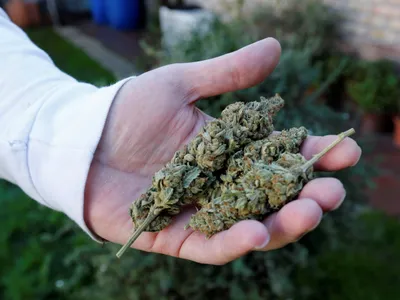 ndps act  should vices be criminalised 