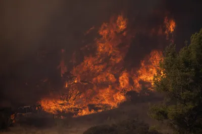 residents flee wildfire raging through southern california canyon