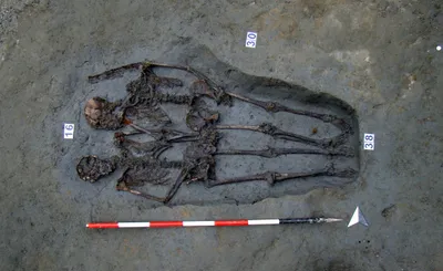  lovers of modena  skeletons identified to be male