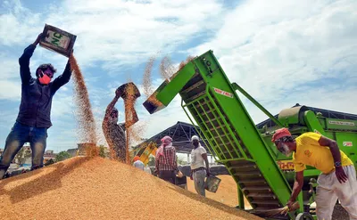 to provide food security  south asian nations must engage in liberal trade