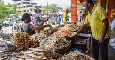 after the lockdown relief package  what comes next for the indian economy 