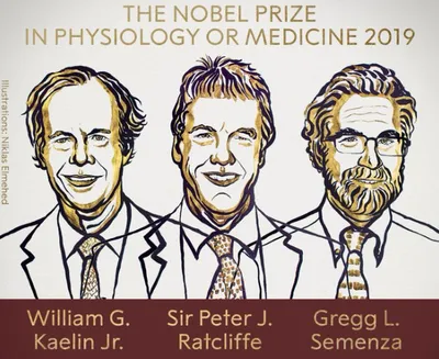 medicine nobel prize for doctors who discovered how body senses low oxygen