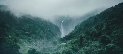 government withdraws controversial amendments to forest rights act