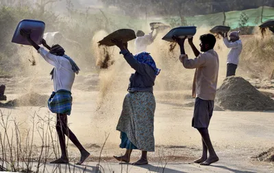 millets kept out of the india us trade deal yet missing from india’s fields