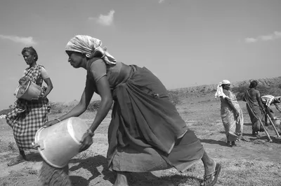 how to kill a golden goose  mgnrega repeal reveals more than it hides