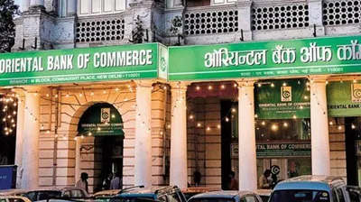 cbi books delhi jeweller over rs 390 crore oriental bank of commerce loan scam