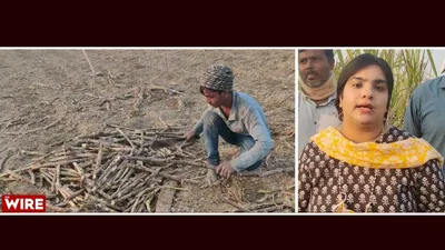 watch    yogi govt took away our peace   sugarcane farmers of jarbal