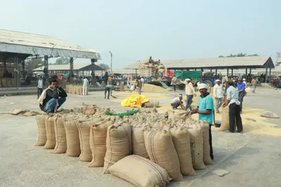 madhya pradesh  new app allows traders to buy crops outside mandis  farmers  leaders unimpressed