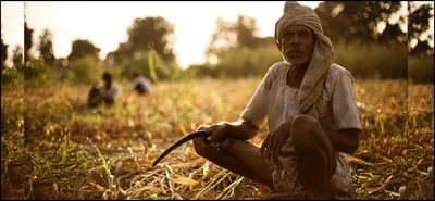 why narendra modi may answer farmers  distress with a basic income plan