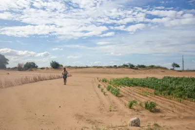 it’s raining sand  how anantapur came to resemble a desert