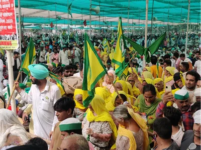 here are the reforms india s farmers really need