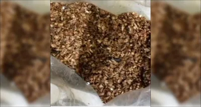 as gutkha stands banned  use of dohra rises in uttar pradesh