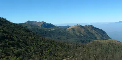 how a plastic free campaign became nilgiris  success story