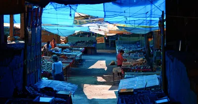 after q4 gdp figures  what next for the indian economy 