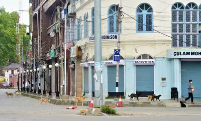 kashmir is in a lockdown within the lockdown  this must end now