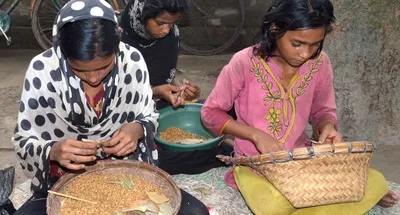 beedi rolling is robbing rural bengal s girls of their childhood