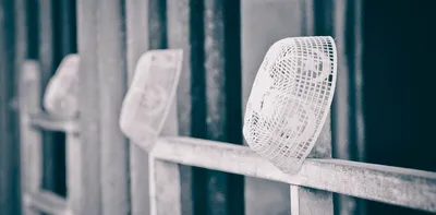 bihar caste survey  the who’s who in the data   chik