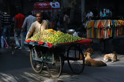 microcredit or direct benefit transfer  designing a scheme for street vendors