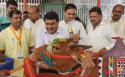 in syllabus for national exam on cows  rastriya kamdhenu aayog unleashes half truths