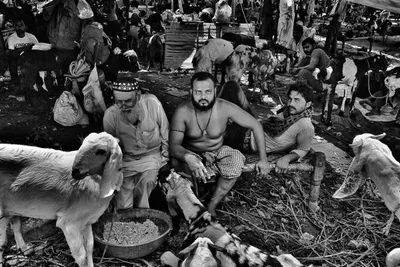 in photos  the bakri sellers of shahjahanabad