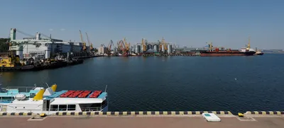 russia halts ukraine black sea grain exports  prompting food crisis concerns