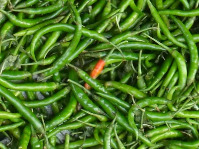 now china rejects chilli from india  after rice ran into trouble in may