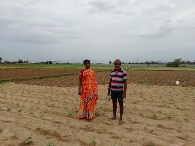 new andhra pradesh cultivators act unlikely to solve tenant farmers  problems