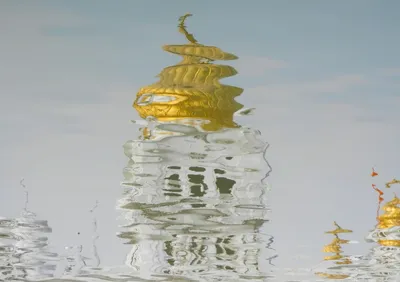 fighting fatalism  35 years after the anti sikh pogroms