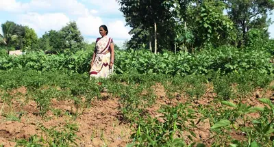 odisha s kondh women lead a kitchen revolution in their own backyards