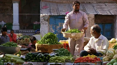 as searing heat worsens food inflation  let s not forget the boring task of fixing supply chains